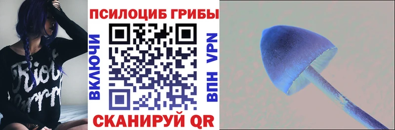 Купить закладки  Сковородино  Псилоцибиновые грибы ЛСД 