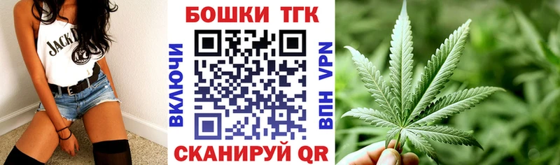 Купить закладки  Сковородино  Каннабис Amnesia 